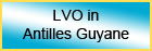 LVO dans les Antilles-Guyane
